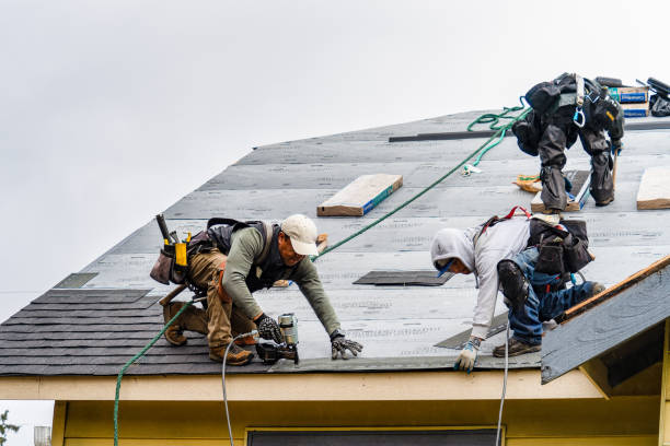 Professional Emergency Roof Repair technician working in Wheeler, OR